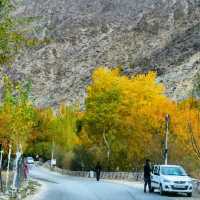 Autumn In Kargil, India