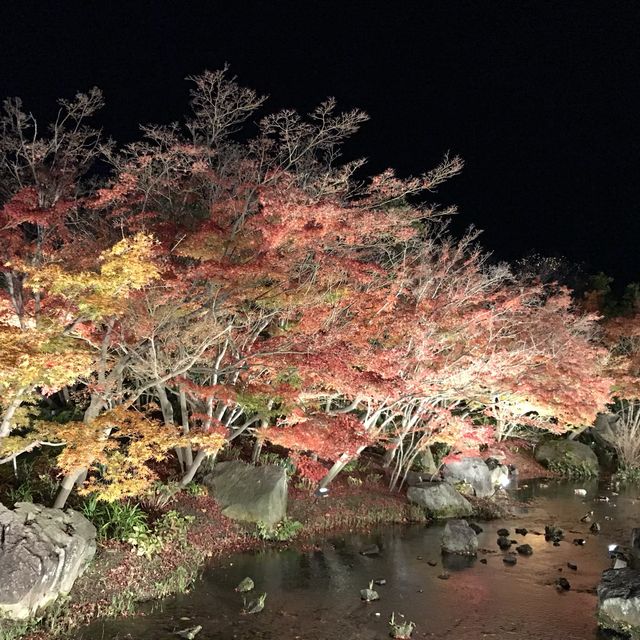 日本最大燈海