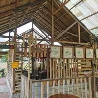 The Pineapple Farm In Pekan Nanas 
