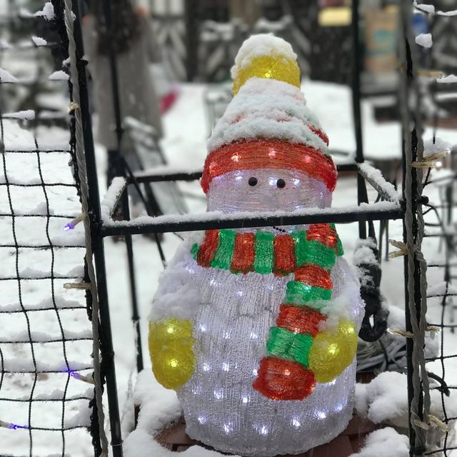 冬日浪漫飄雪樂園💕 白色戀人公園