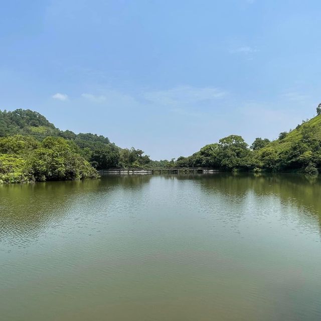 古洞水塘💕上水簡易行山路線🈴️🈴️新手輕鬆上路