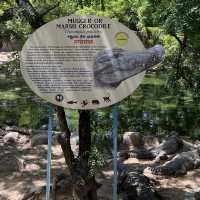 Fun with real crocodiles @ crocodile bank 