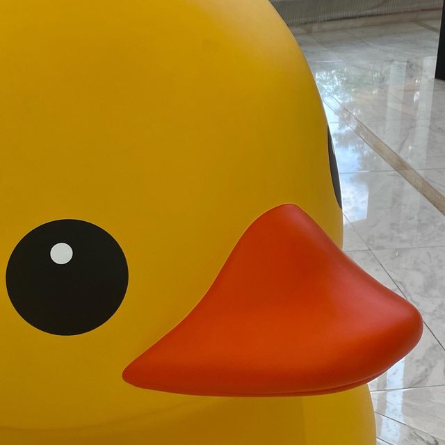 8년만에 석촌호수에 나타난 러버덕🐥 :주차꿀팁✨