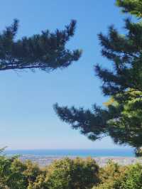 한라수목원 🌲 제주도 가을 피크닉