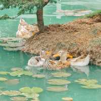 ปานชีวาคาเฟ่ บรรยากาศ ฟิลดี รีสอร์ทสุดๆ