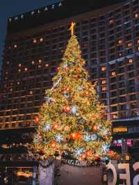서울시청광장에 설치된 트리🎄