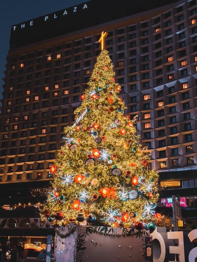 서울시청광장에 설치된 트리🎄