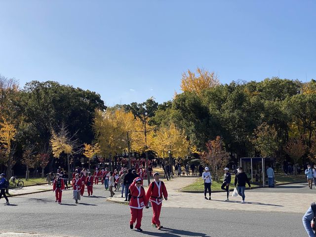 『大阪城公園』の『噴水広場』周辺