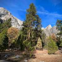 View From Yosemite Valley Floor