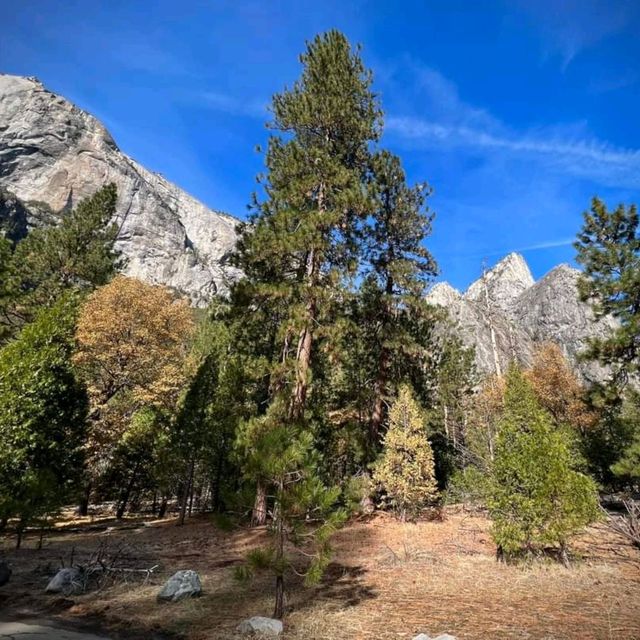 View From Yosemite Valley Floor