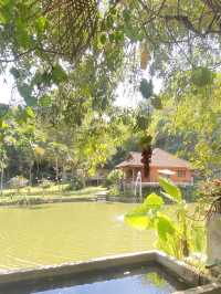 ที่พักสวย สวนองุ่นนิศาชล | เชียงดาว | เชียงใหม่
