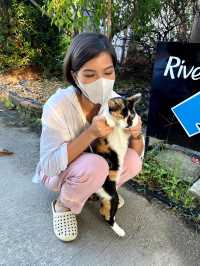 คาเฟ่และที่พักริมน้ำใกล้กรุงเทพ Riverbreeze Cafe