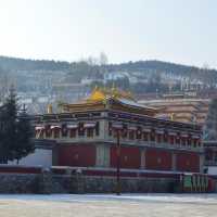 Kumbum Monastery - Xining - Qinghai 