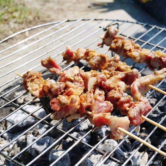 비엔나 캠핑 바베큐 하기에 좋은 비엔나 도나우 강변