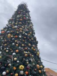 Busch Gardens during Christmas Town season.