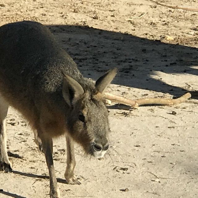 Al Areen Wildlife Park & Reserve