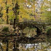 Bernus Park and its History 
