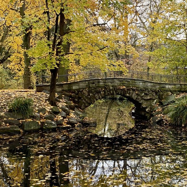 Bernus Park and its History 