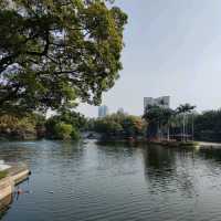 An oasis in a concrete jungle