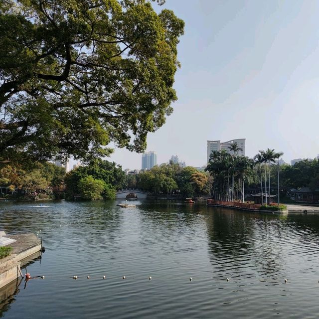 An oasis in a concrete jungle