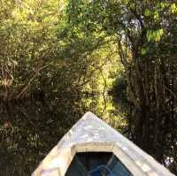 living in the world’s largest rainforest 