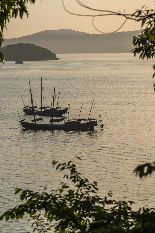 Fishing boats singing at dusk.