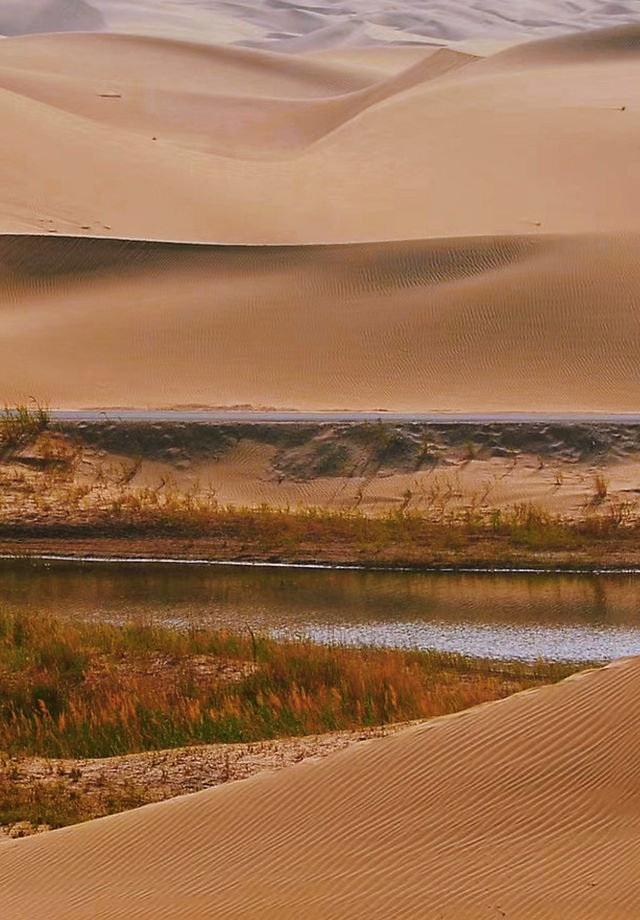 Taklamakan | Xinjiang has more than just grasslands, there are also deserts! A trip to southern Xinjiang.