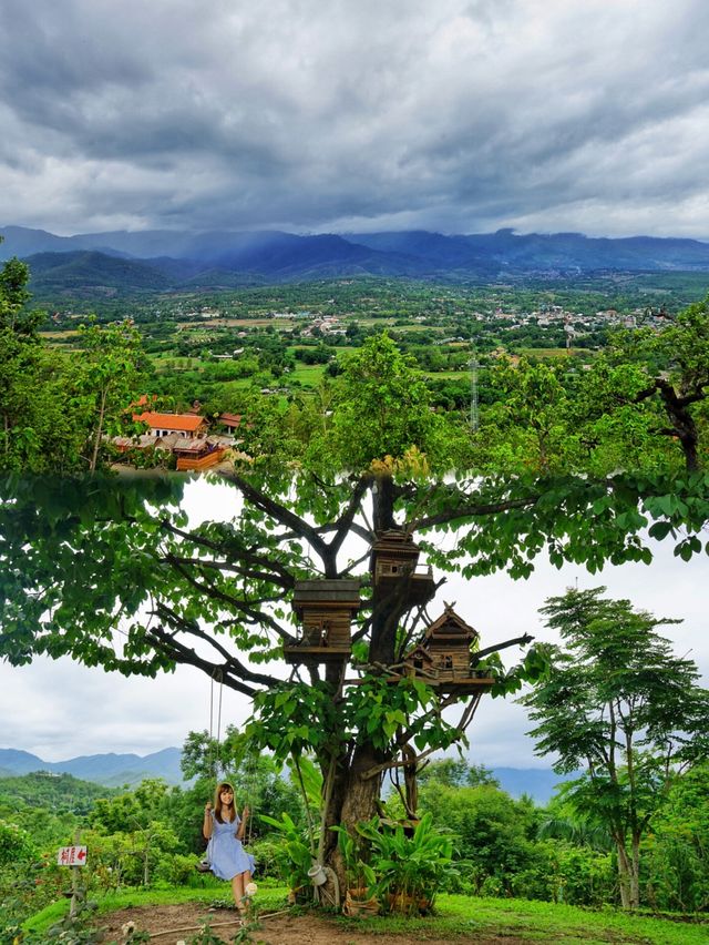 Thailand | For this big tree, I will go to Pai County again.