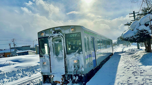 Sapporo to Biei: Guide to capturing the Christmas tree hotspot