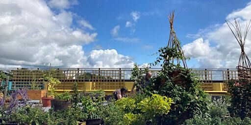 Hyfforddiant |Training: Datblygu cydweithio | Developing collaborations | Oriel Pendeitsh