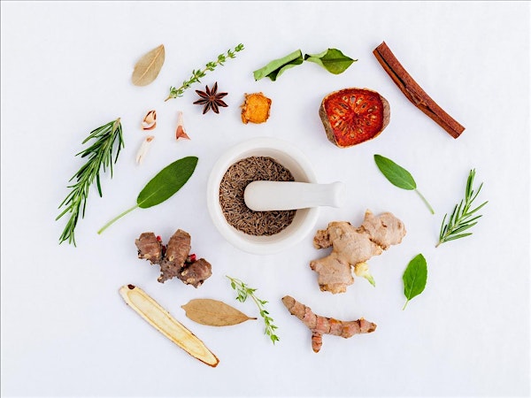 Backyard Herbs: Medicine Making (Spring) | Smile Herb Shop