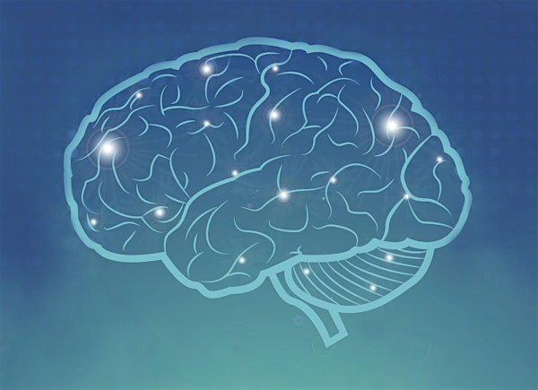 2025Eskenazi Health Stroke Nursing Conference & Stroke Coordinator Bootcamp | Eskenazi Health