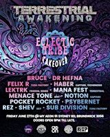 TERRESTRIAL AWAKENING ECLECTIC TRIBE TAKEOVER | my aeon