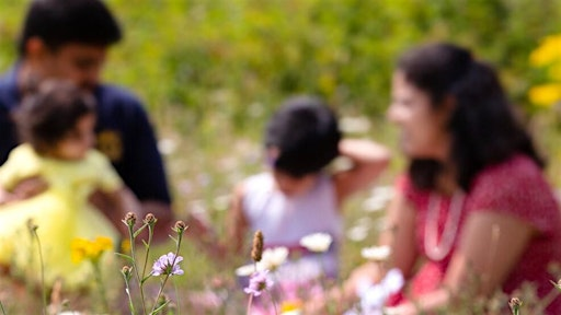 Wild Families Foxburrow (EFC 2511) | Foxburrow Nature Reserve