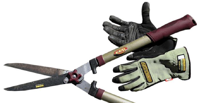 Tool Sharpening & Maintenance | Nower Wood Educational Nature Reserve