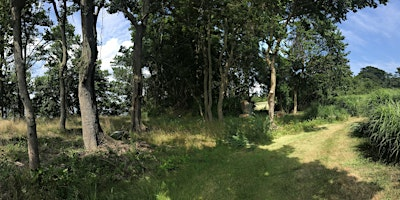 Arboretum Tour: Broadlawns | 41 Ridge Rd