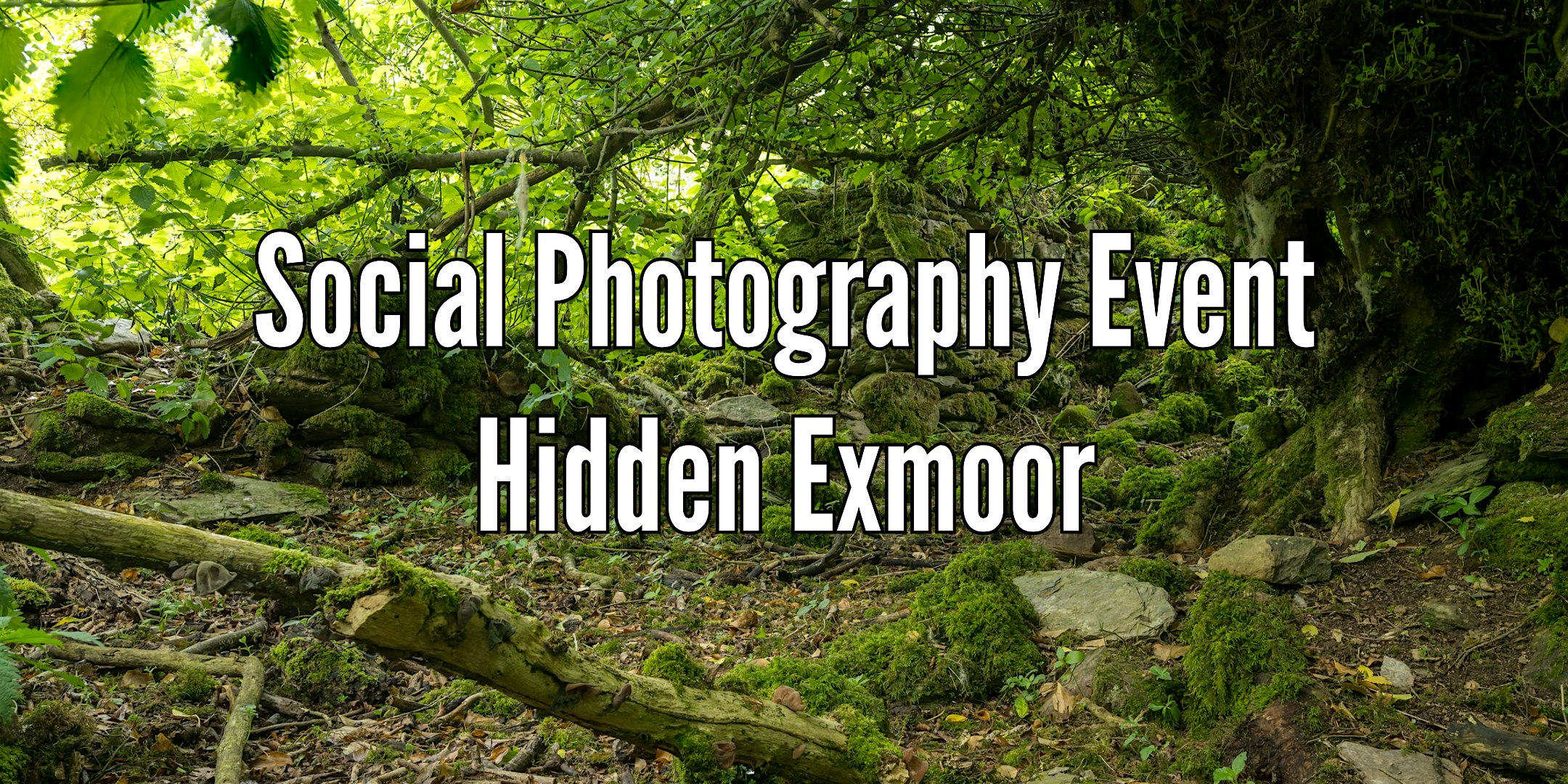 Photography Social: Exploring Hidden Exmoor | Whitswood Steep