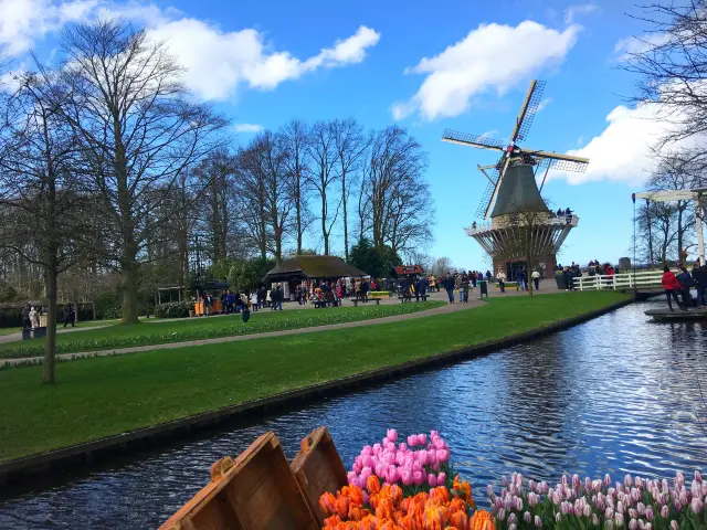 庫肯霍夫公園｜世界上最美花海