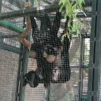 香港動植物公園150週年紀念