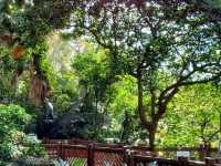 觀鳥樂。香港公園 Hong Kong Park