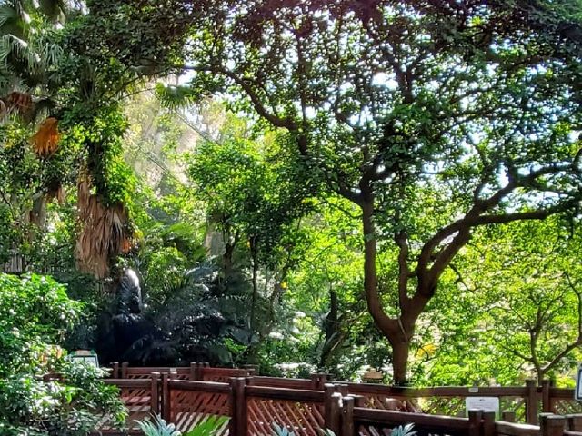 觀鳥樂。香港公園 Hong Kong Park