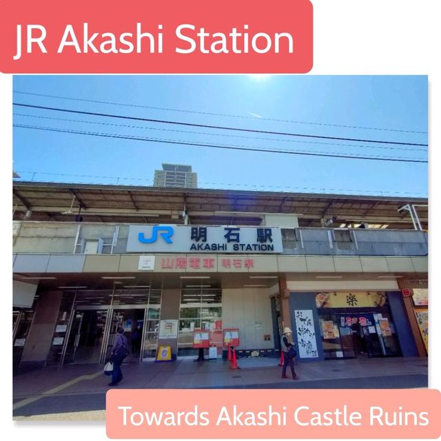 【兵庫県 明石市】季節の花咲く明石駅🌸🌸🌸