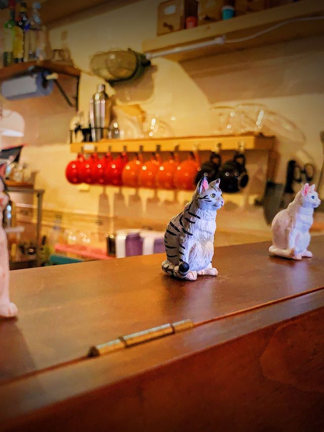 喵café
