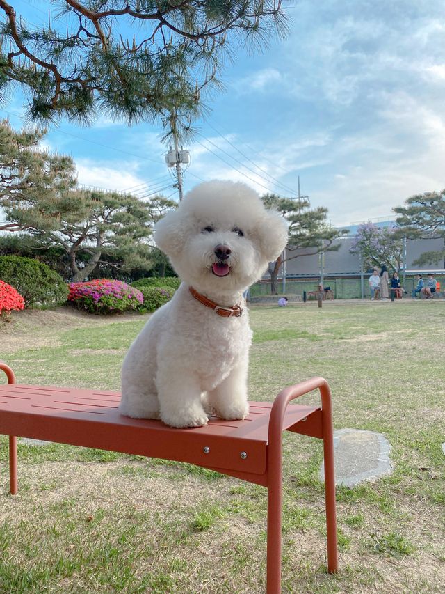 뷰가 좋은 하남카페 더릿🌿