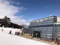 長野縣滑雪勝地｜白馬五龍滑雪場