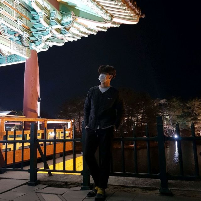 야경이 너무 예쁜 문화의 도시 경주 동궁과 월지!