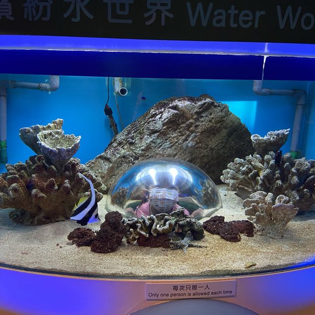 岩一家大細既博物館 📍沙田