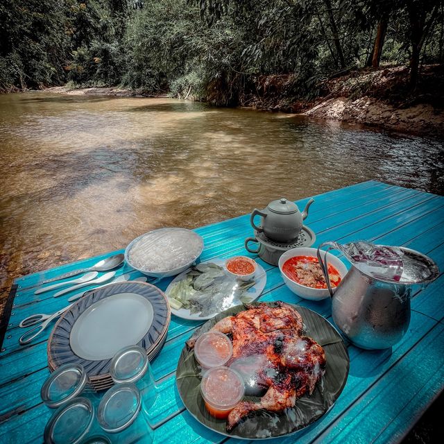 “I Love Camping. Life Is Good In The Woods”