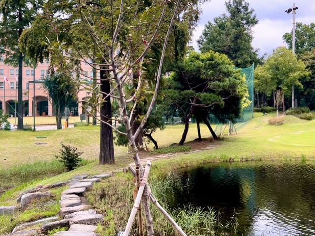 🇰🇷파3 호캉스~🏌️‍♀️🏨
