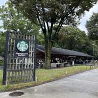 Relaxing Stroll at Ueno Park